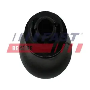 FT09047 FAST