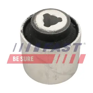 FT18061 FAST