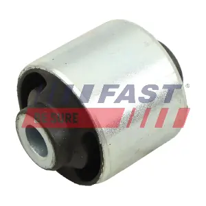 FT10078 FAST