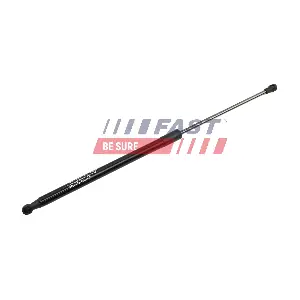 FT00182 FAST