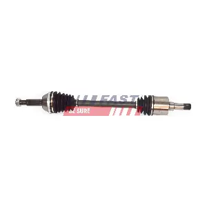 FT27181 FAST