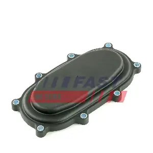 FT45315 FAST