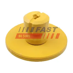 FT12625 FAST