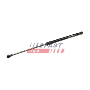 FT00202 FAST