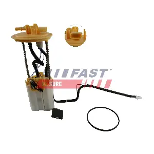 FT53010 FAST