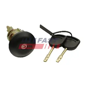 FT93905 FAST