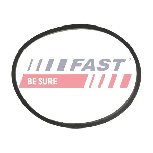 FT49464 FAST