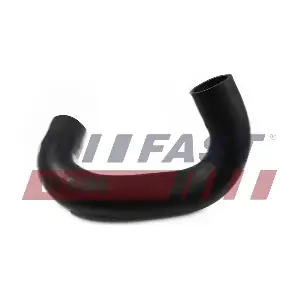 FT61782 FAST