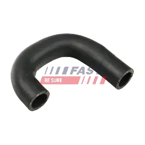 FT61896 FAST