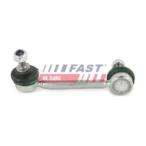 FT20029 FAST