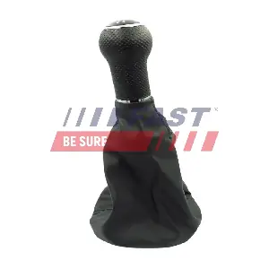 FT00079 FAST