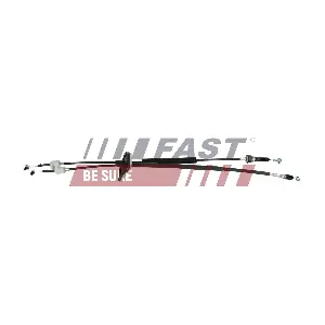 FT73086 FAST