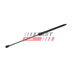 FT94814 FAST