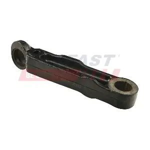 FT15069 FAST