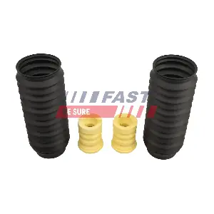 FT01289 FAST