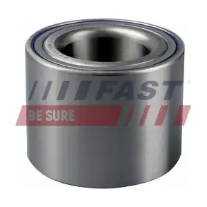 FT21006 FAST