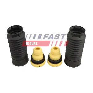 FT01295 FAST