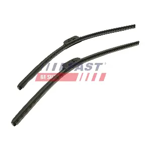 FT93236 FAST