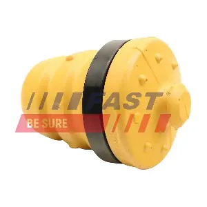 FT12560 FAST
