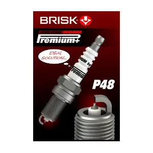 BRISK 2106
