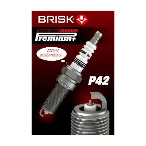 2102 BRISK