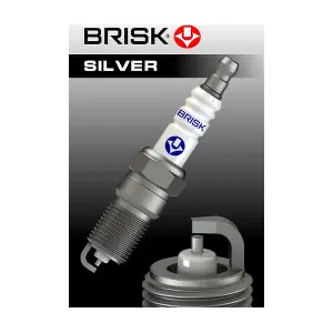 BRISK 1576