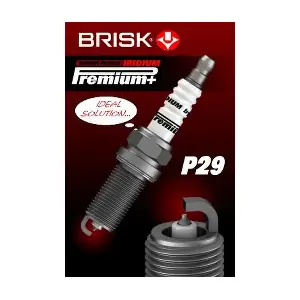 BRISK 1973