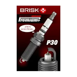 1974 BRISK