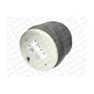 107215 DSS