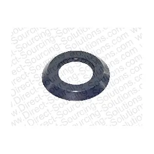 204597 DSS