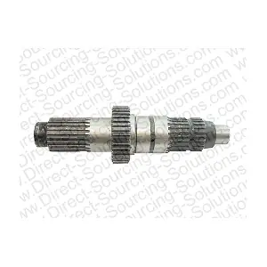 170050 DSS