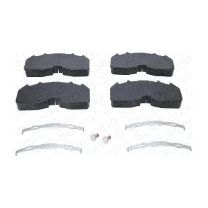 160098OEM DSS