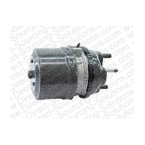 206636 DSS