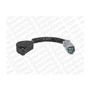 230017 DSS