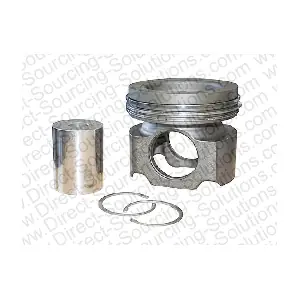 210097OEM DSS