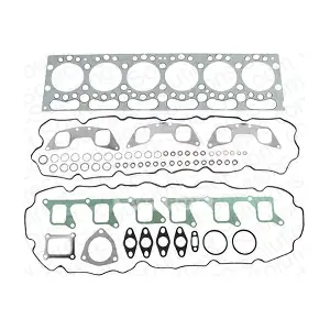 610054 DSS