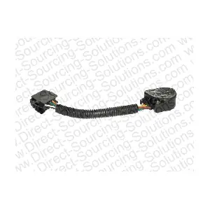 203886 DSS