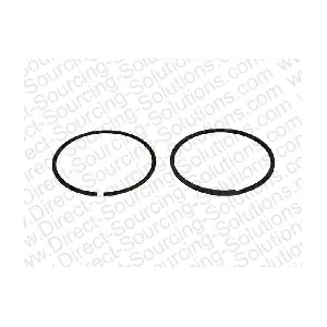 110028 DSS