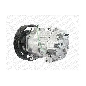 DSS 290029