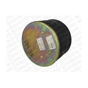 507204 DSS
