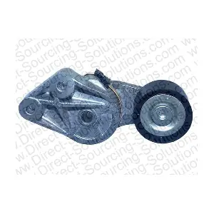 208593OEM DSS