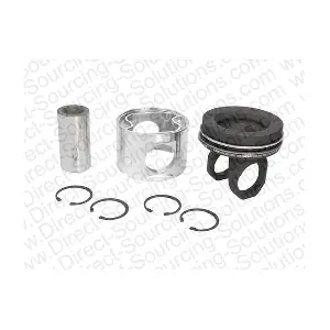 110207OEM DSS