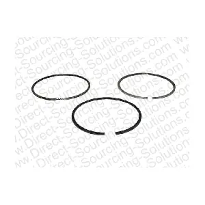 210030 DSS