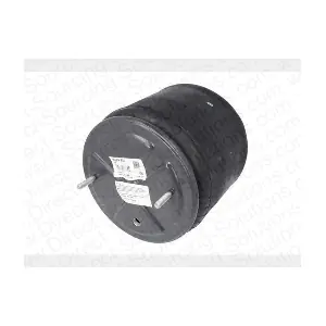 270254 DSS