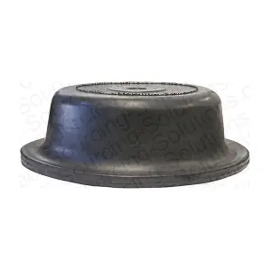 106159 DSS