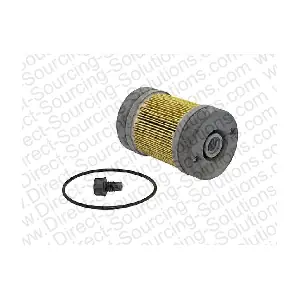 203989 DSS