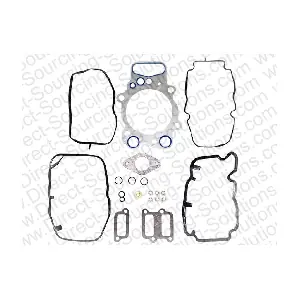 101571 DSS