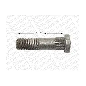 205037 DSS