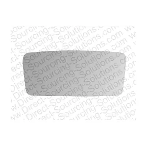 290107 DSS