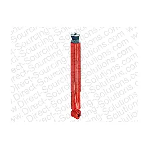 107204 DSS